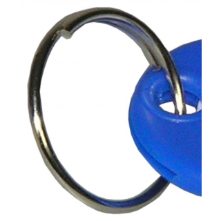 25 Schlüsselanhänger/Schlüsselschilder Beschriftungsfeld  blau mit Ring 